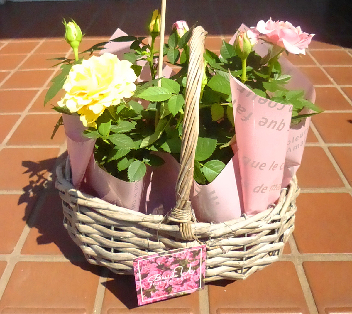 f:id:donaneight:20190512100042j:plain f:id:donaneight:20190512100042j:plain