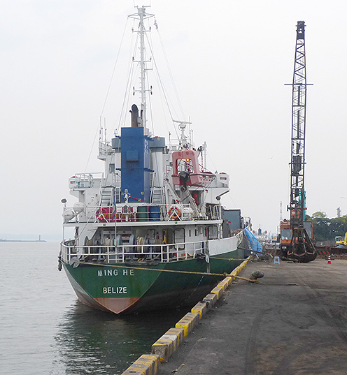 f:id:donaneight:20190621091102j:plain f:id:donaneight:20190621091102j:plain