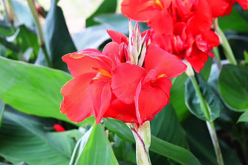 f:id:donaneight:20190702092800j:plain f:id:donaneight:20190702092800j:plain