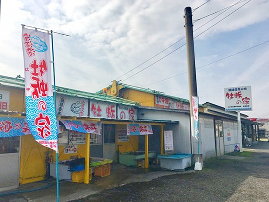 f:id:donaneight:20191118135241j:plain