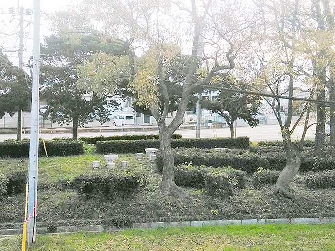 f:id:donaneight:20201129090940j:plain