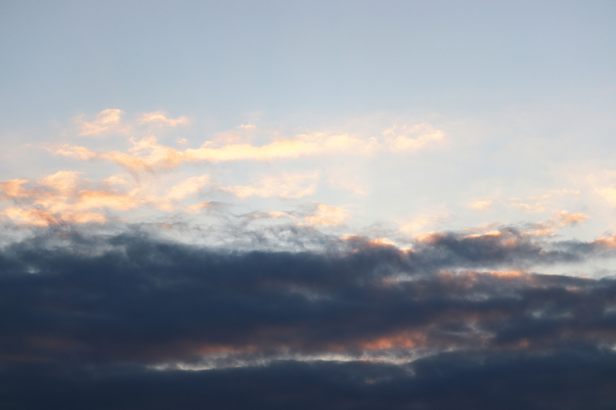 f:id:donaneight:20201204101943j:plain