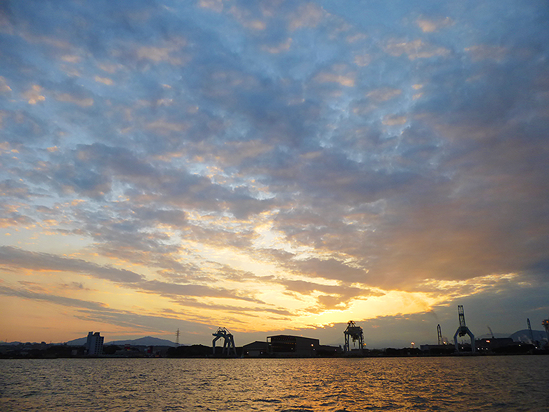 f:id:donaneight:20201211094205j:plain