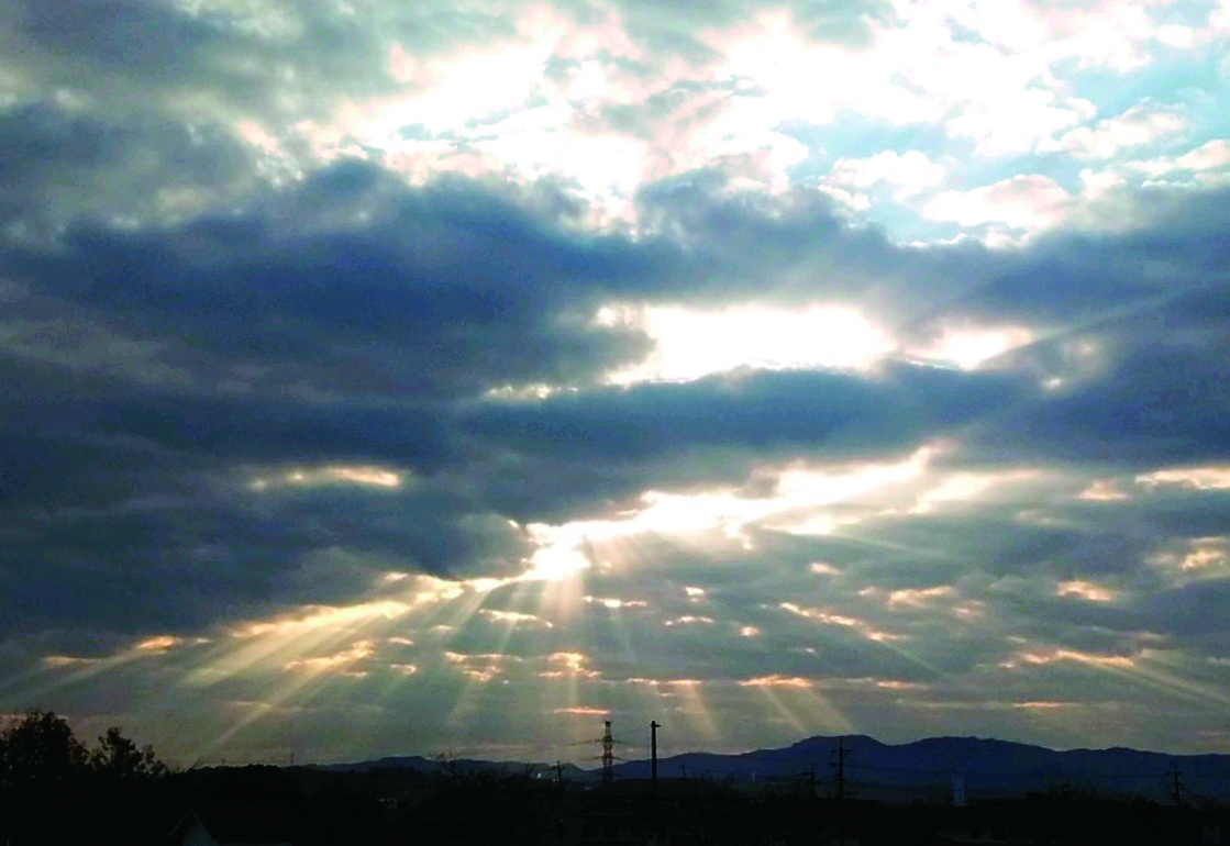f:id:donaneight:20201215095115j:plain