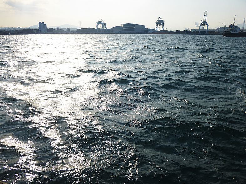 f:id:donaneight:20201223093004j:plain