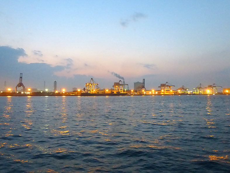 f:id:donaneight:20210315091321j:plain