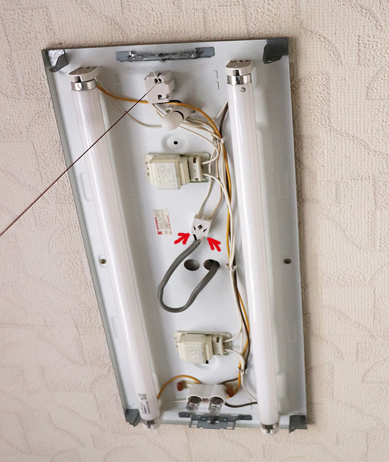 f:id:donaneight:20210426093359j:plain