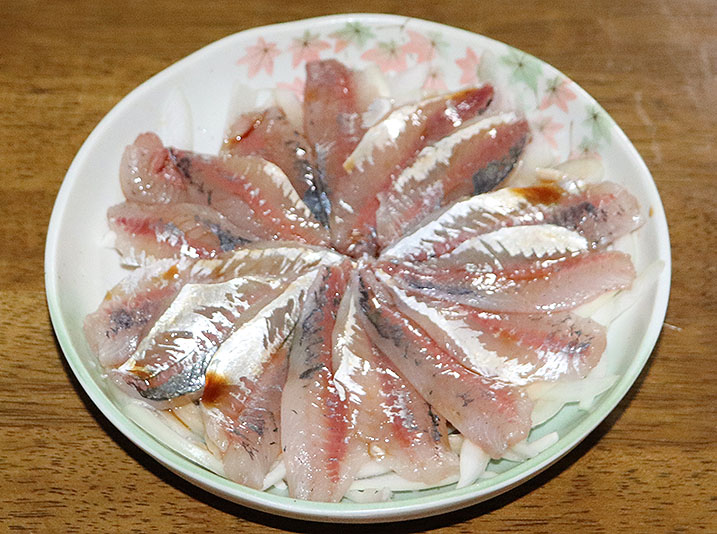 f:id:donaneight:20210516092405j:plain