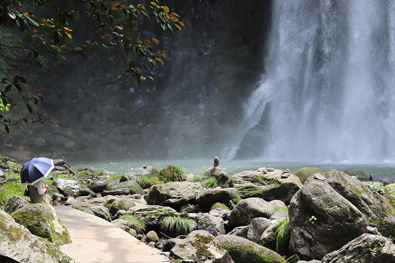 f:id:donaneight:20210607094435j:plain