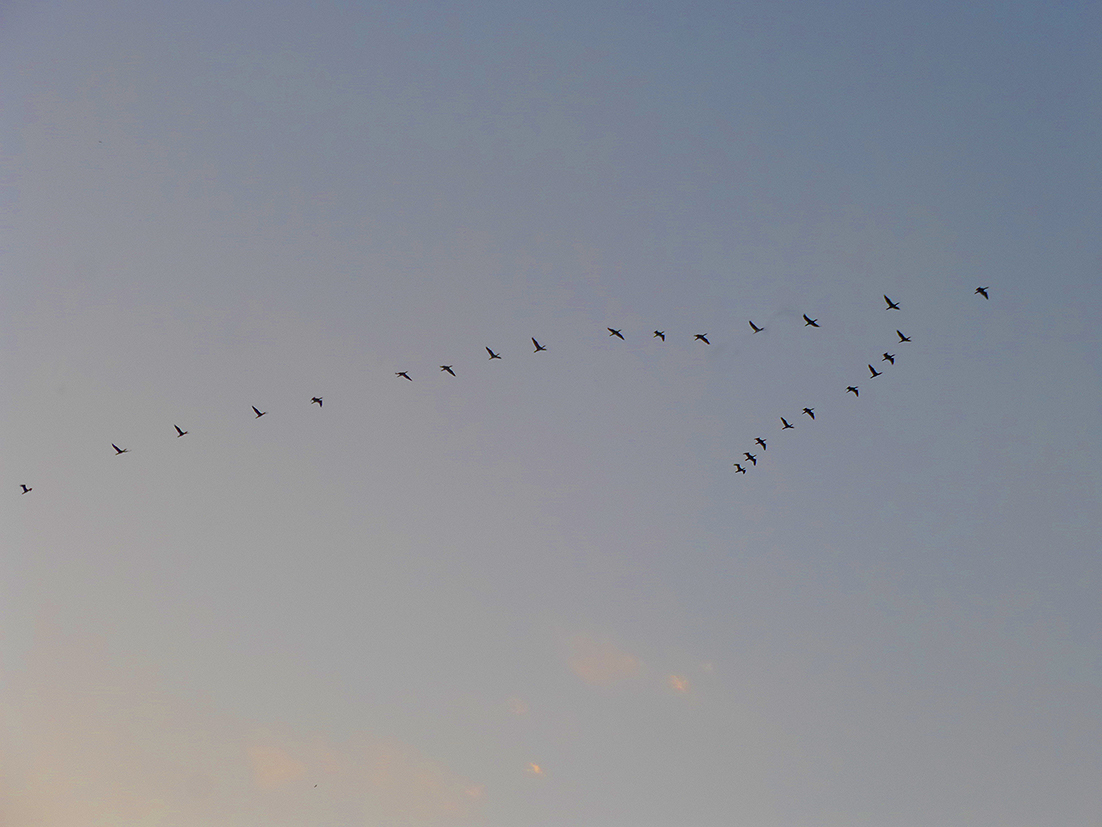 f:id:donaneight:20211216090008j:plain