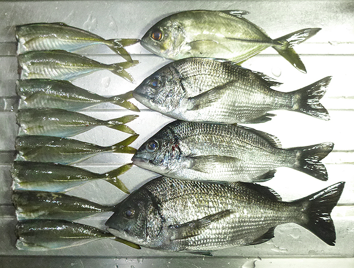 f:id:donaneight:20211216090128j:plain