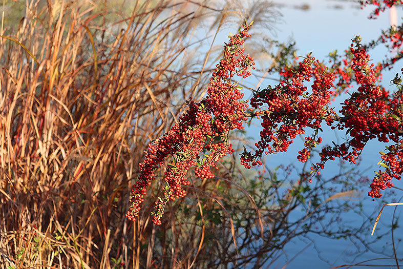 f:id:donaneight:20211219094050j:plain