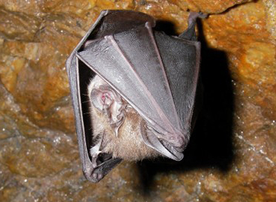 f:id:donaneight:20211222092401j:plain