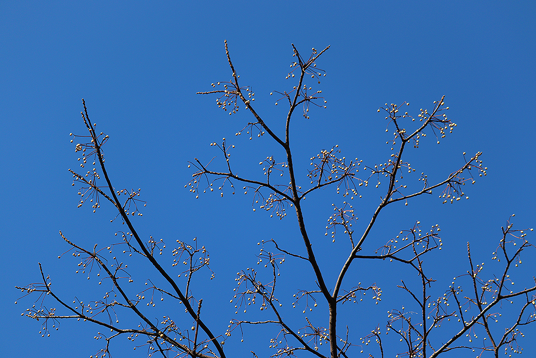 f:id:donaneight:20220126093351j:plain