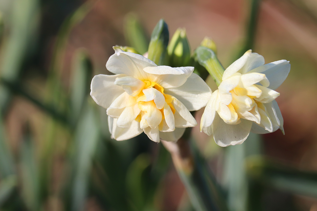 f:id:donaneight:20220126093355j:plain