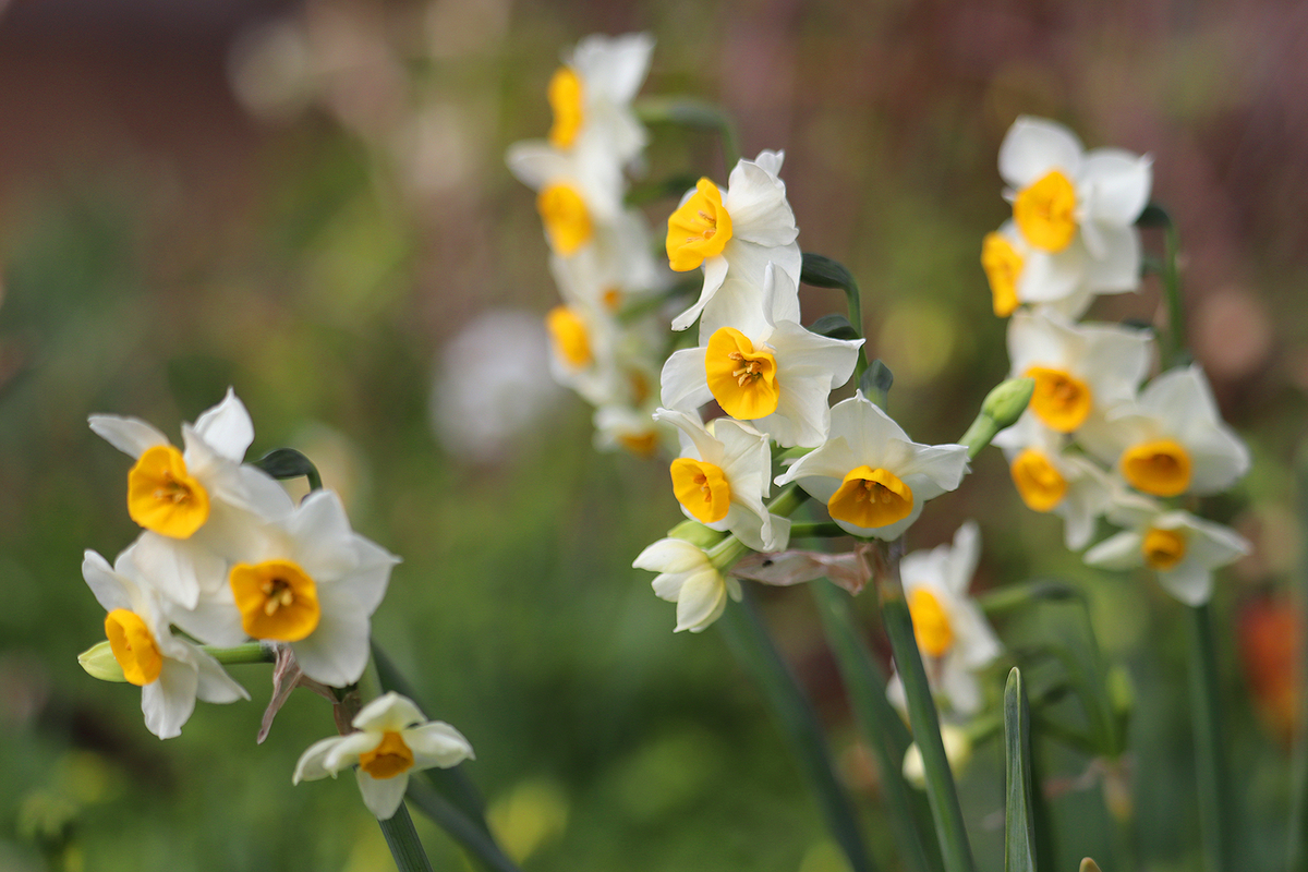 f:id:donaneight:20220126093359j:plain