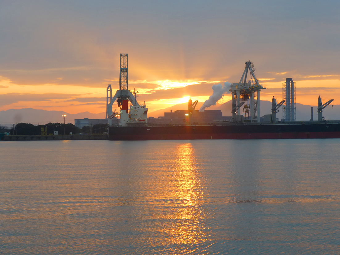 f:id:donaneight:20220306094140j:plain