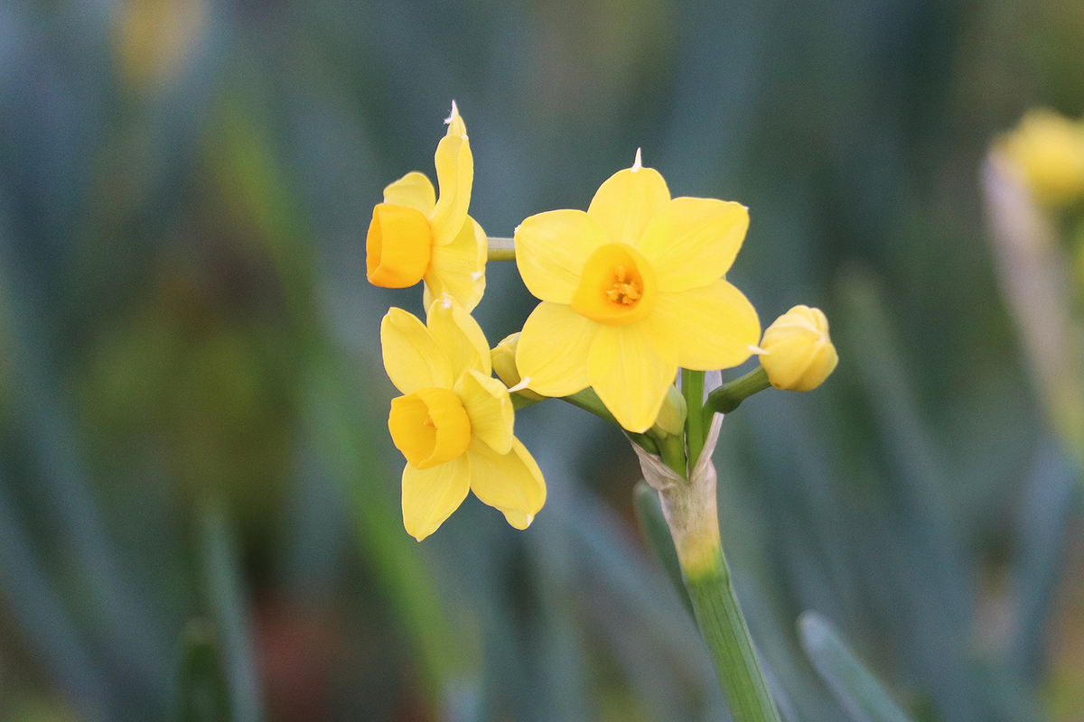 f:id:donaneight:20220307133033j:plain