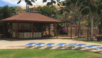 f:id:donburi-kun:20170731144516j:plain