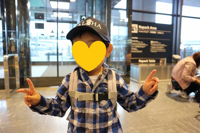 f:id:donburi-kun:20180519170058j:plain