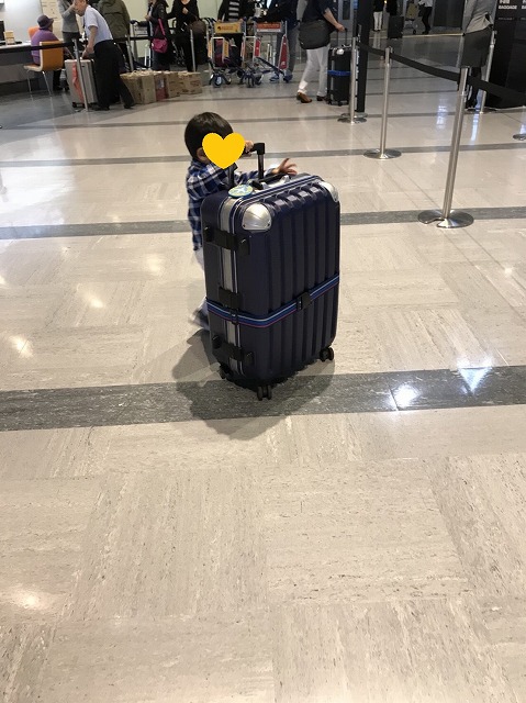 f:id:donburi-kun:20180519170557j:plain