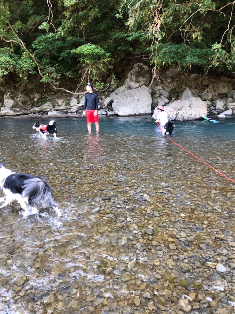 f:id:donchan428:20200824091527j:image