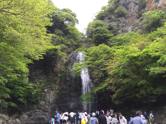 f:id:donchan922:20150429214714j:image f:id:donchan922:20150429214714j:image