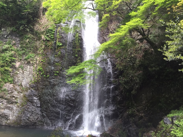 f:id:donchan922:20150429215240j:image f:id:donchan922:20150429215240j:image