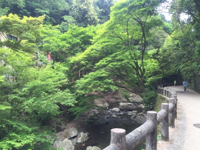 f:id:donchan922:20150429223300j:image f:id:donchan922:20150429223300j:image