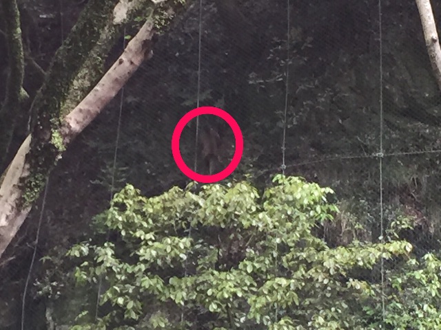 f:id:donchan922:20150430065942j:image f:id:donchan922:20150430065942j:image