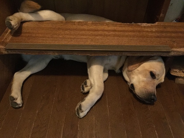 f:id:donchan922:20150519232709j:image