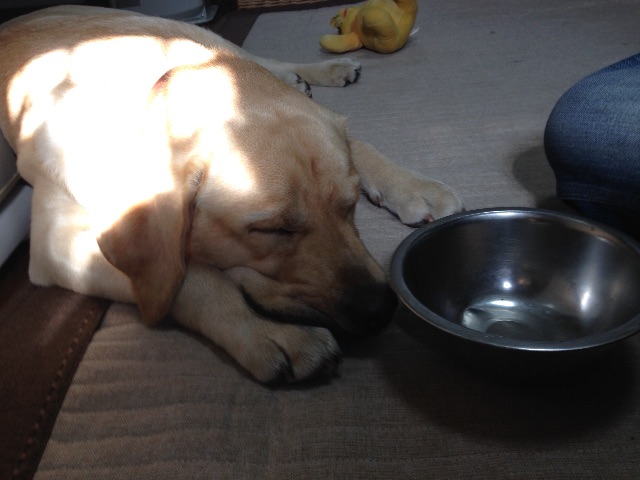 f:id:donchan922:20150524094602j:image