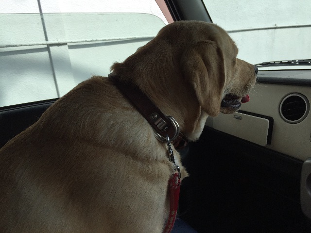 f:id:donchan922:20150524104516j:image