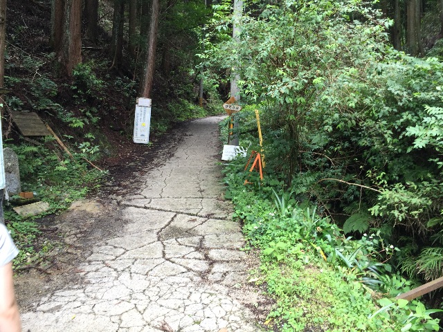 f:id:donchan922:20150628090408j:image f:id:donchan922:20150628090408j:image