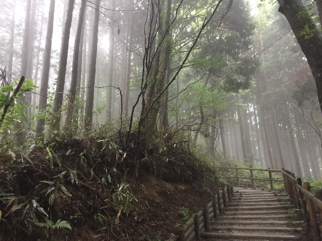 f:id:donchan922:20150628091141j:image f:id:donchan922:20150628091141j:image