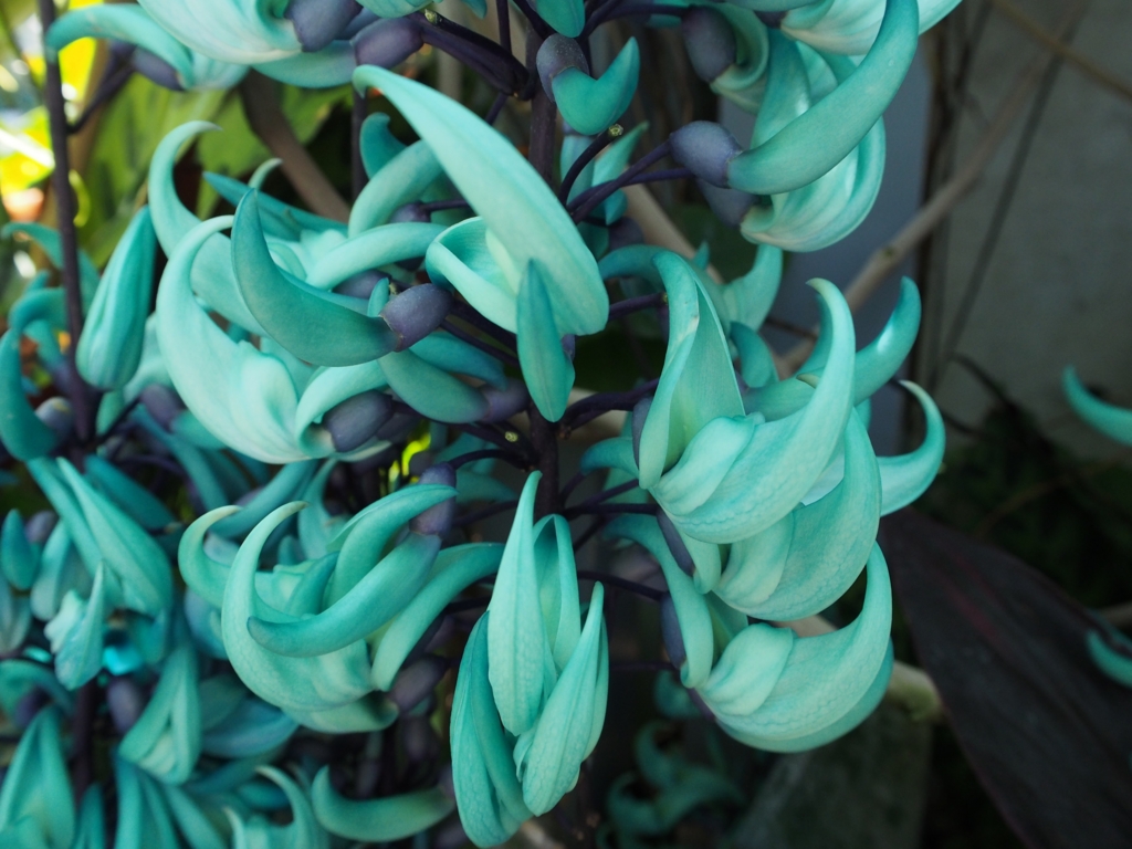 f:id:donchan922:20160429110135j:plain f:id:donchan922:20160429110135j:plain