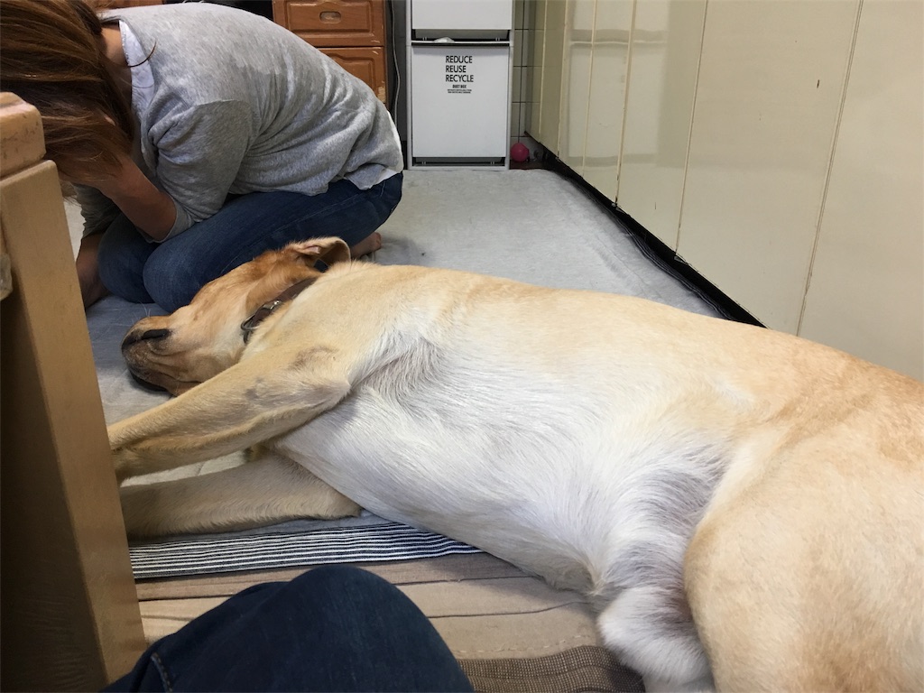 f:id:donchan922:20161001102450j:image