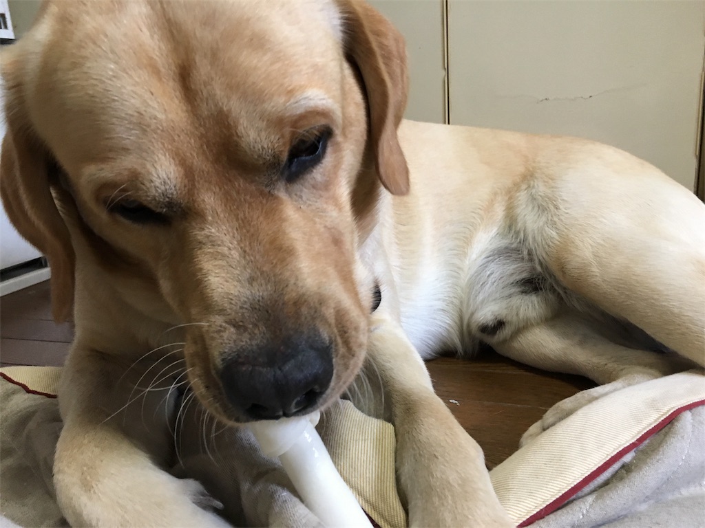 f:id:donchan922:20161001105723j:image