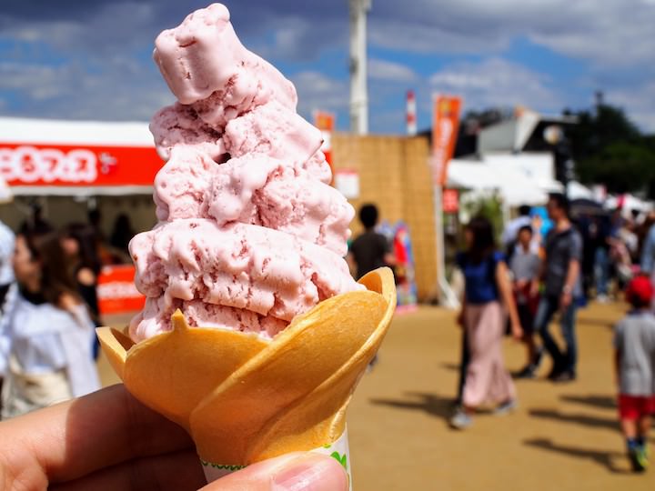 f:id:donchan922:20170918130519j:plain