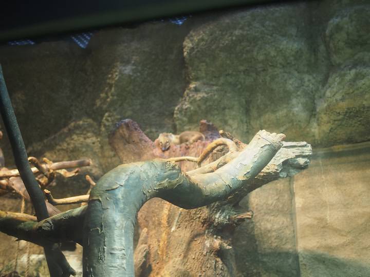 f:id:donchan922:20171021131213j:plain