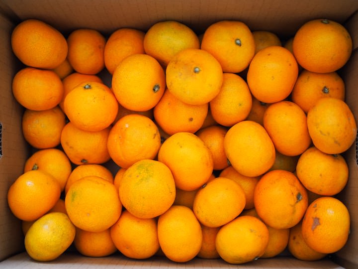 f:id:donchan922:20171111110556j:plain