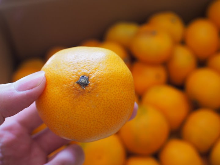 f:id:donchan922:20171111110633j:plain