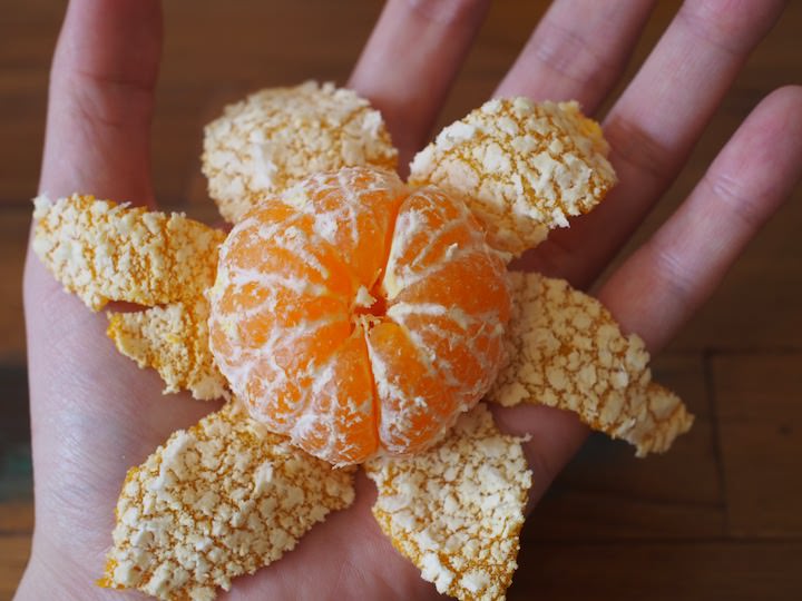 f:id:donchan922:20171111111257j:plain