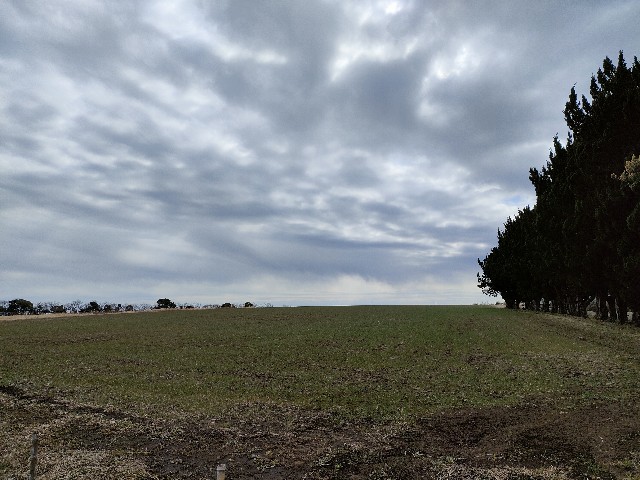 f:id:donchang1973:20220404124842j:image