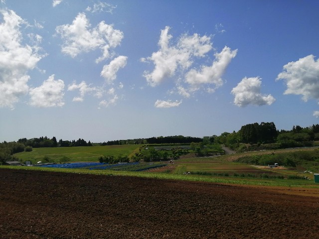 f:id:donchang1973:20220404125012j:image