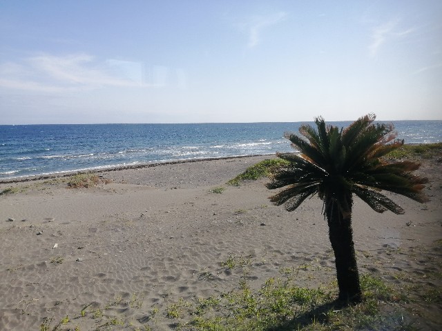 f:id:donchang1973:20220410145237j:image