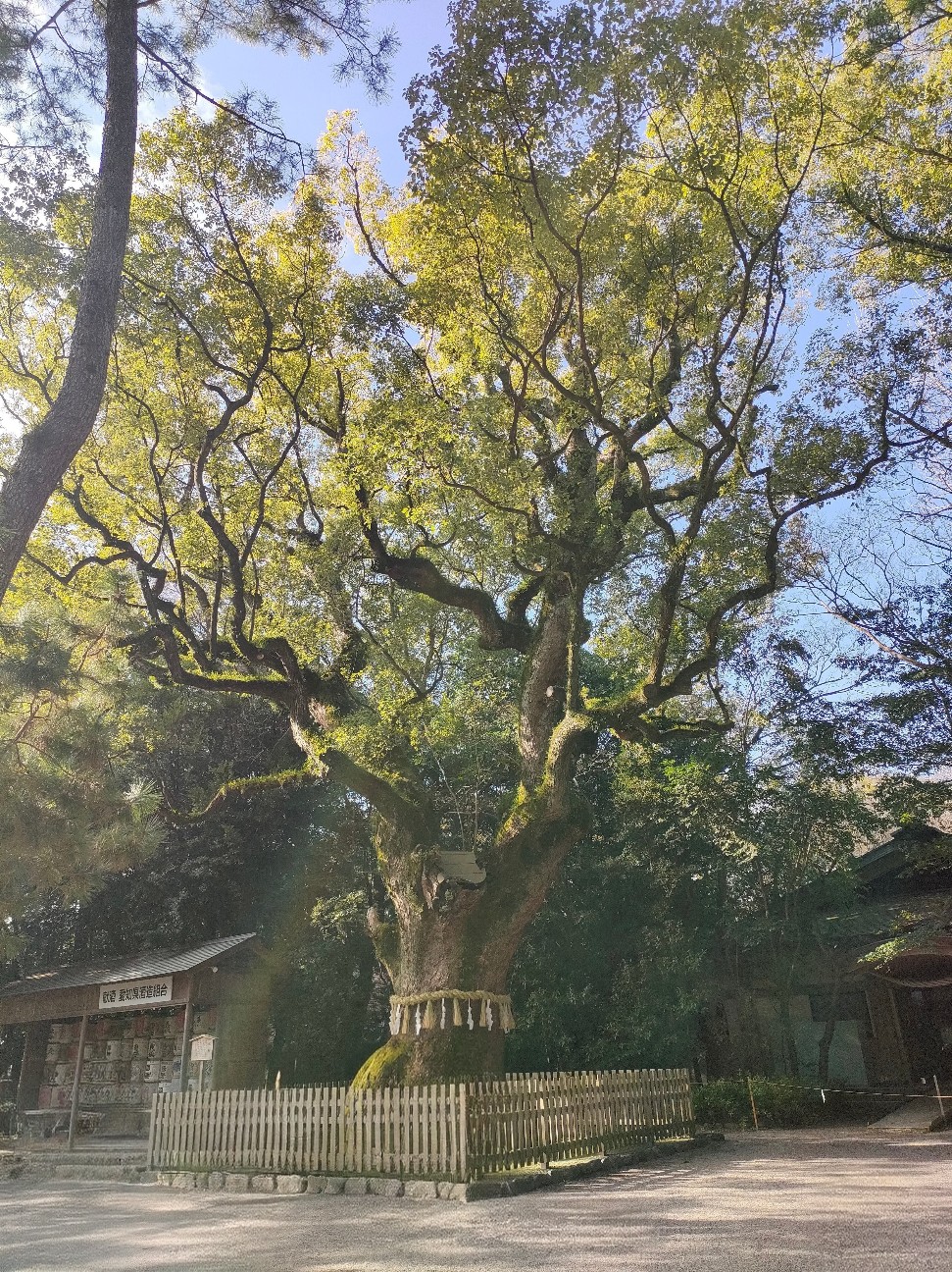 f:id:donchang1973:20260111180935j:image f:id:donchang1973:20260111180935j:image