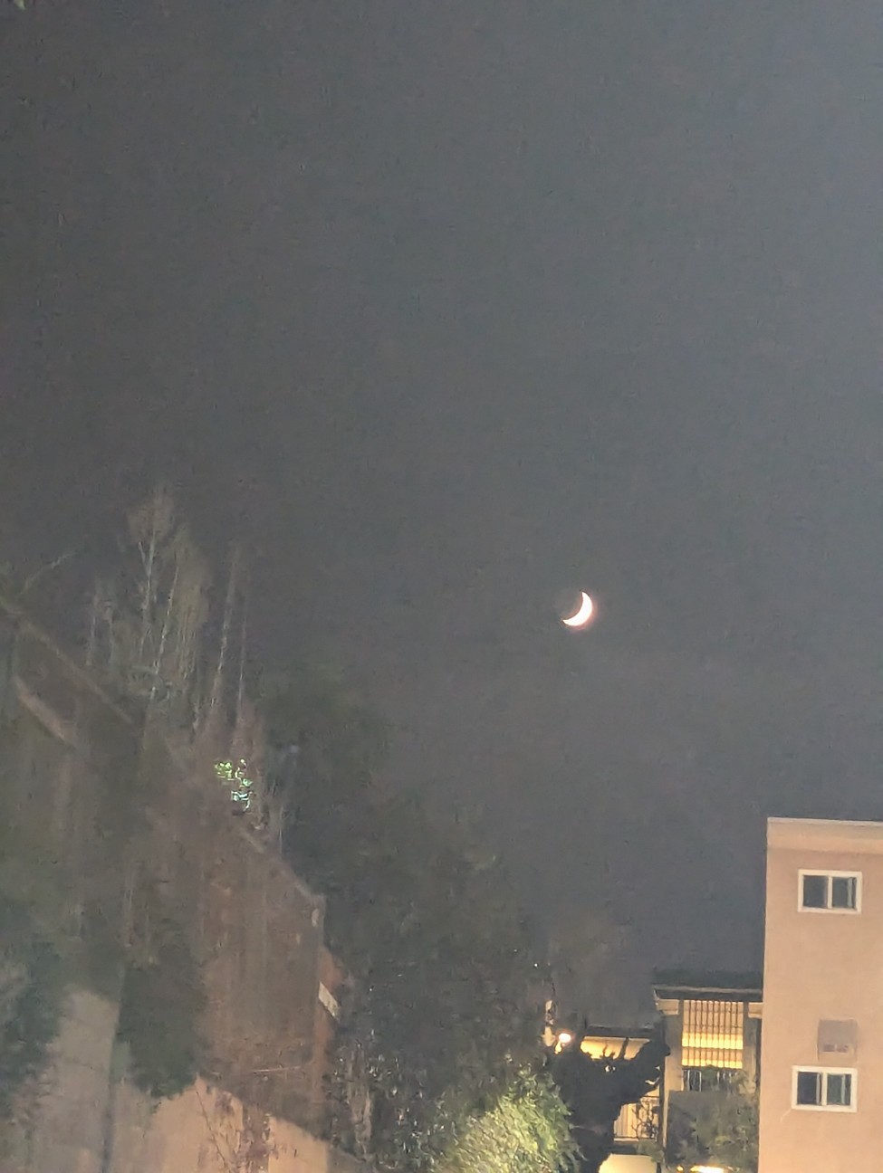 f:id:dondonmusasabi:20260719044811j:image f:id:dondonmusasabi:20260719044811j:image