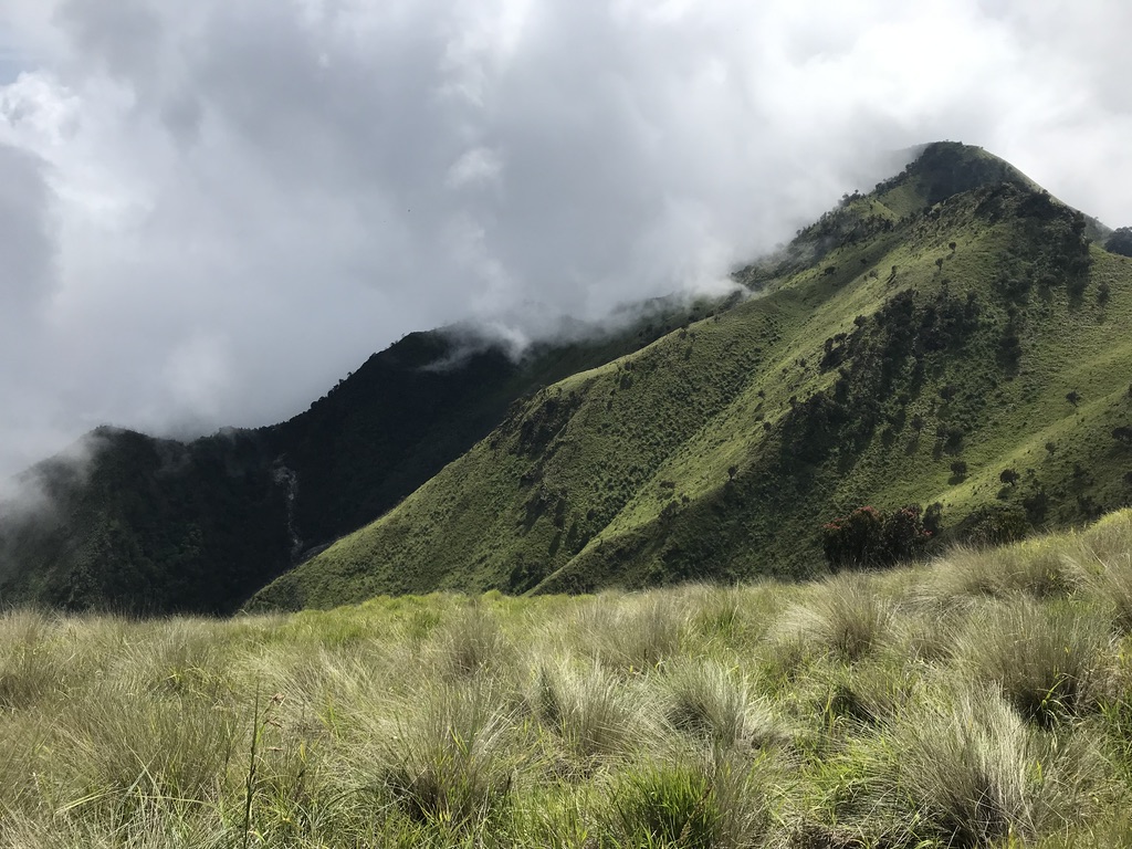 f:id:donesiasurf:20190417232431j:plain