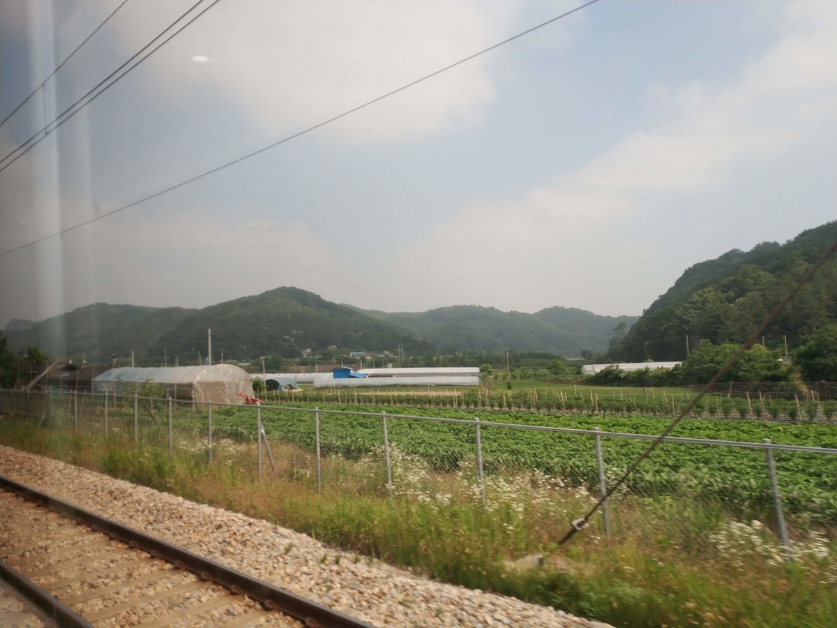 f:id:dongguacha:20191225110023j:plain